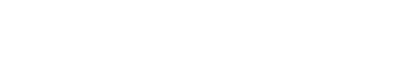 Vietnam Airlines Logo